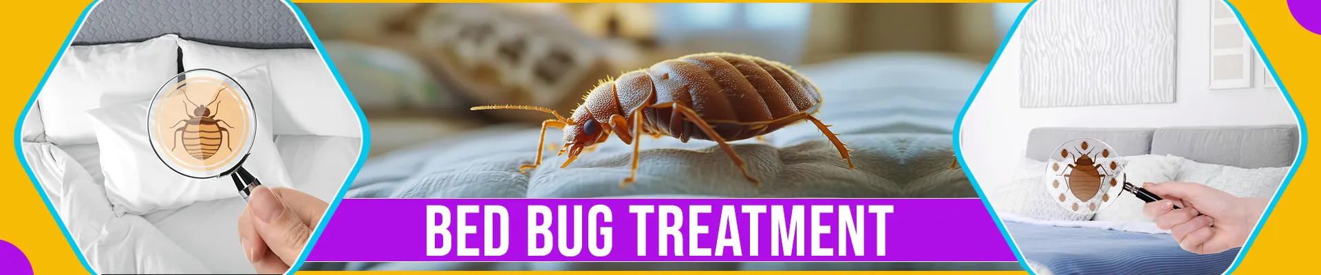 carpet cleaning in new York, carpet cleaning in new york, carpet cleaning new York, carpet cleaners in new York, carpet cleaners in new york, commercial carpet cleaning, commercial carpet cleaning in new York, new York rug cleaners, rug cleaning services in new York, same day carpet cleaning, same day rug cleaning